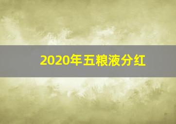 2020年五粮液分红