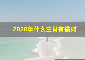 2020年什么生肖有横财