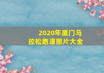 2020年厦门马拉松跑道图片大全