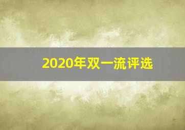 2020年双一流评选