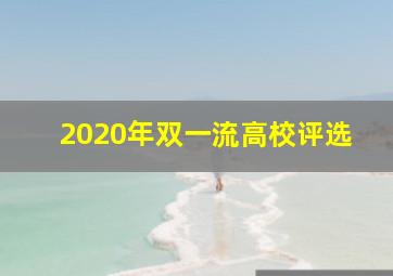 2020年双一流高校评选