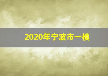 2020年宁波市一模