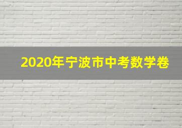 2020年宁波市中考数学卷