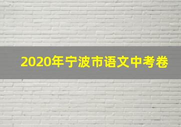 2020年宁波市语文中考卷