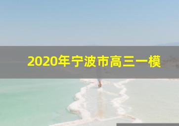 2020年宁波市高三一模