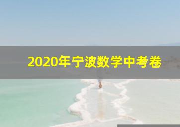 2020年宁波数学中考卷