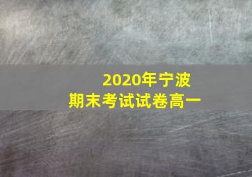 2020年宁波期末考试试卷高一