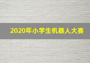 2020年小学生机器人大赛