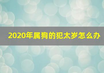 2020年属狗的犯太岁怎么办