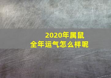 2020年属鼠全年运气怎么样呢