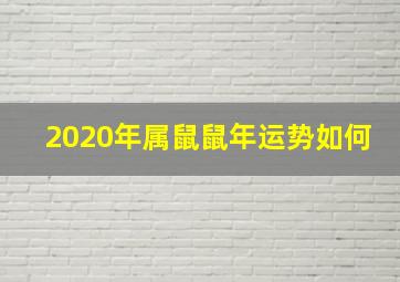 2020年属鼠鼠年运势如何