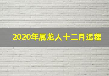 2020年属龙人十二月运程