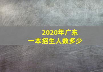 2020年广东一本招生人数多少