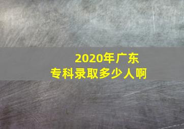 2020年广东专科录取多少人啊