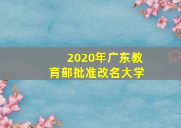 2020年广东教育部批准改名大学