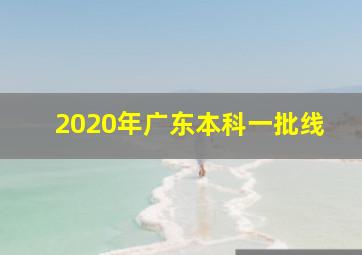 2020年广东本科一批线