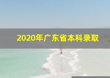 2020年广东省本科录取