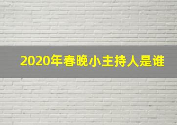 2020年春晚小主持人是谁