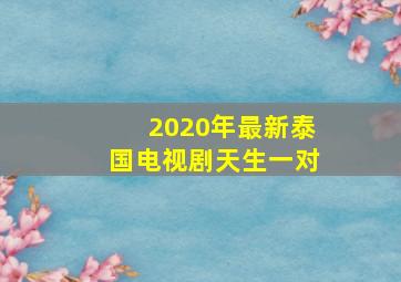 2020年最新泰国电视剧天生一对