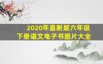 2020年最新版六年级下册语文电子书图片大全