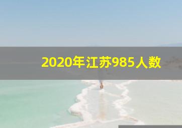 2020年江苏985人数