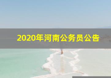 2020年河南公务员公告