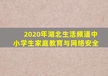 2020年湖北生活频道中小学生家庭教育与网络安全