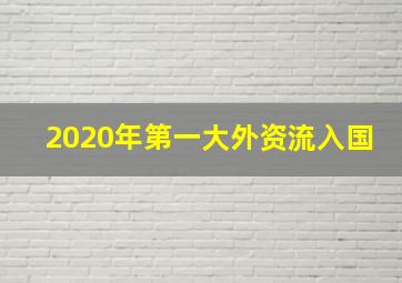 2020年第一大外资流入国