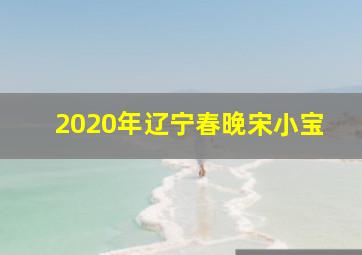 2020年辽宁春晚宋小宝