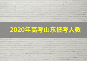 2020年高考山东报考人数