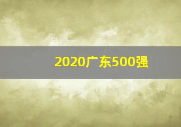 2020广东500强