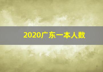 2020广东一本人数