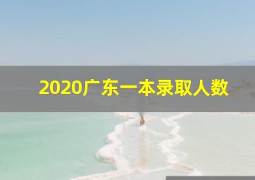 2020广东一本录取人数