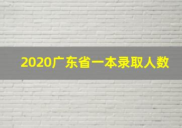 2020广东省一本录取人数