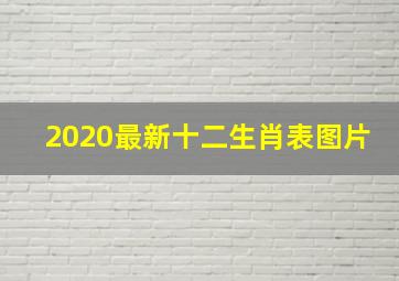 2020最新十二生肖表图片