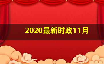 2020最新时政11月