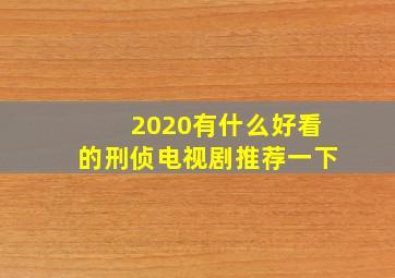 2020有什么好看的刑侦电视剧推荐一下