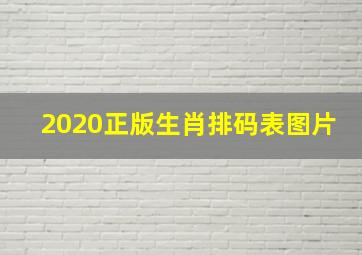 2020正版生肖排码表图片