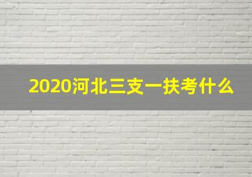 2020河北三支一扶考什么