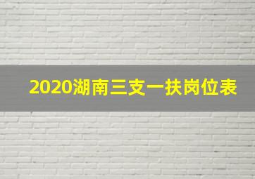 2020湖南三支一扶岗位表