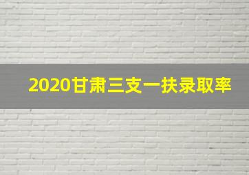 2020甘肃三支一扶录取率