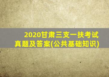 2020甘肃三支一扶考试真题及答案(公共基础知识)