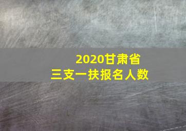 2020甘肃省三支一扶报名人数