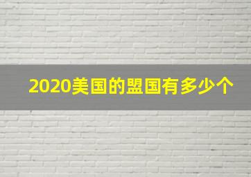 2020美国的盟国有多少个