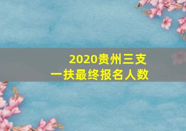 2020贵州三支一扶最终报名人数