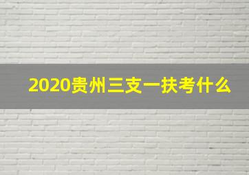 2020贵州三支一扶考什么