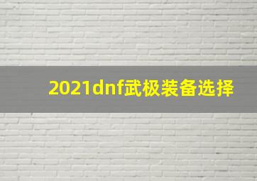 2021dnf武极装备选择