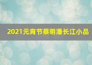 2021元宵节蔡明潘长江小品