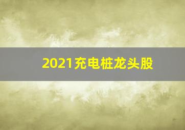 2021充电桩龙头股