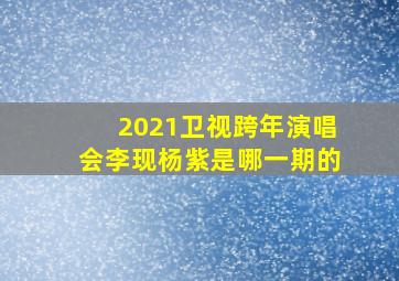 2021卫视跨年演唱会李现杨紫是哪一期的